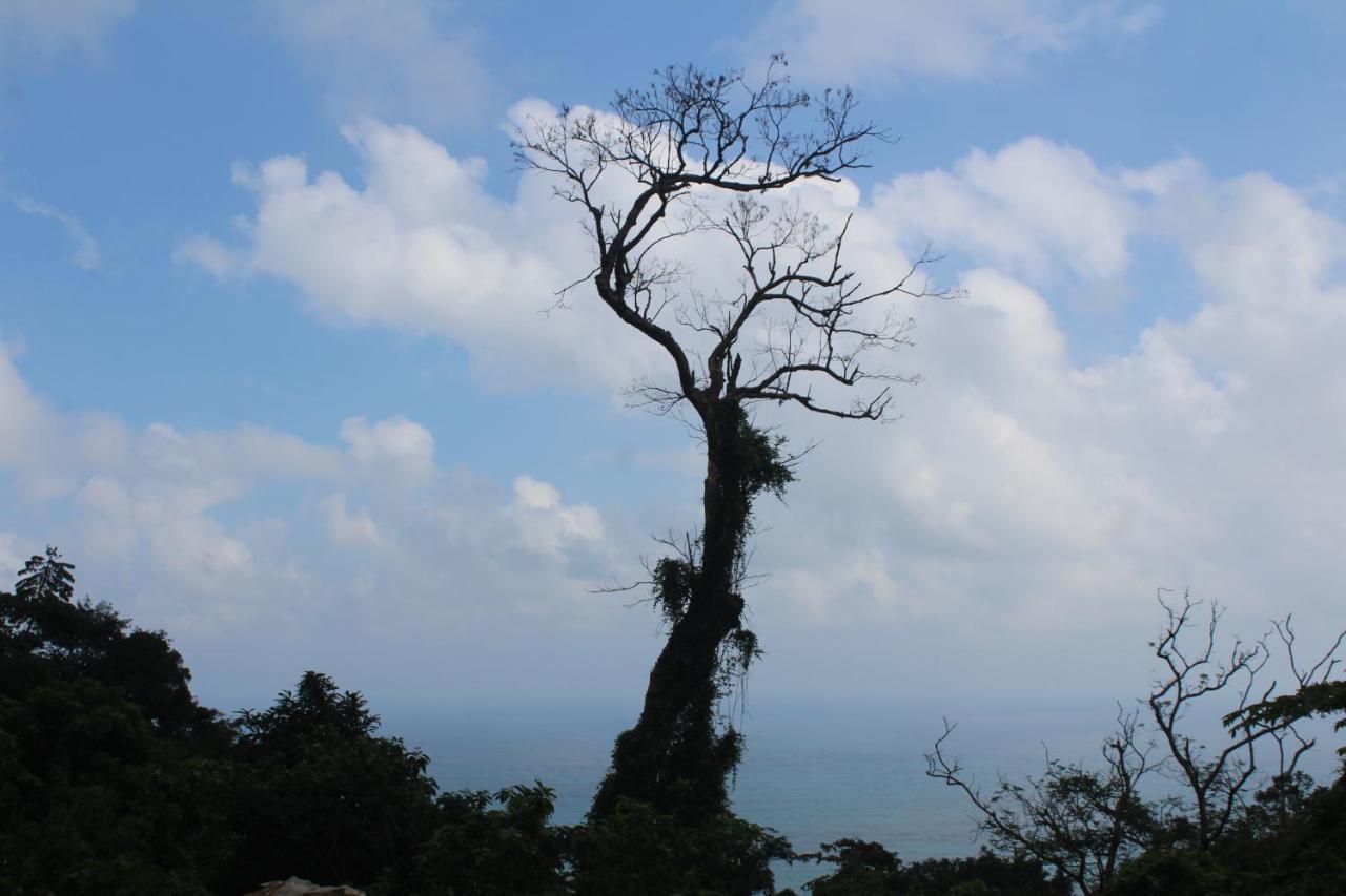 Cham Island Smiles Homestay Tân Hiệ Bagian luar foto
